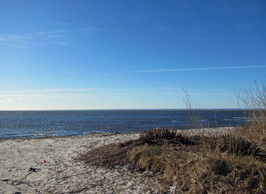 Przedwiosenny poranek, czyli 03.03.2013 w Jastarni na Pwyspie Helskim