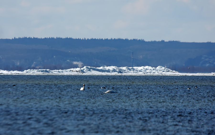 Zima ju nie trzyma, czyli 16.03.2013 w Jastarni na Pwyspie Helskim