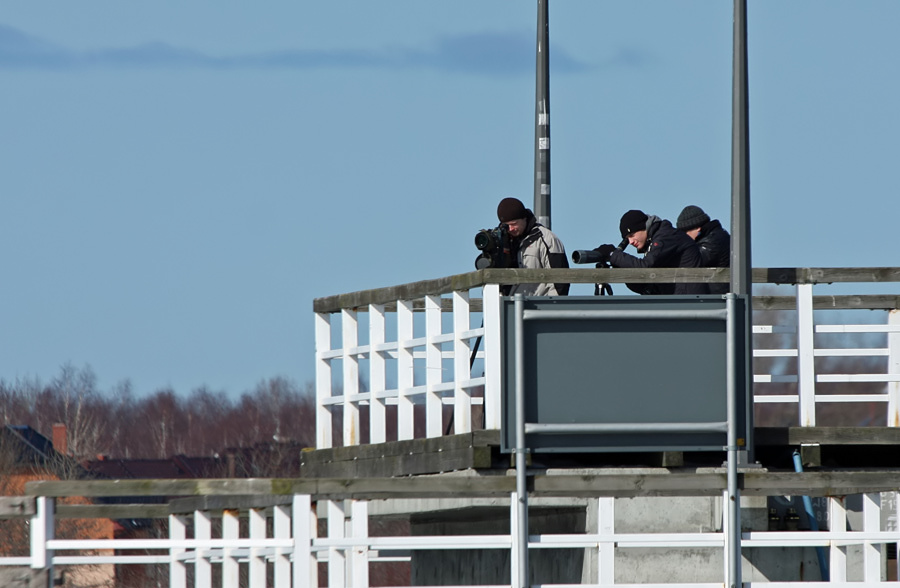 Zima ju nie trzyma, czyli 16.03.2013 w Jastarni na Pwyspie Helskim