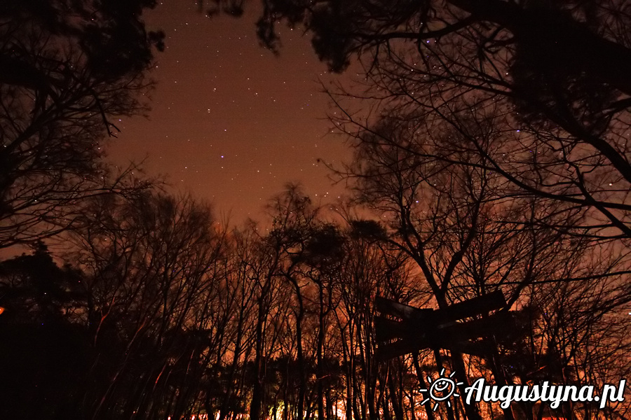 Jastarnia by night, czyli noc 17.03.2013 w Jastarni na Pwyspie Helskim