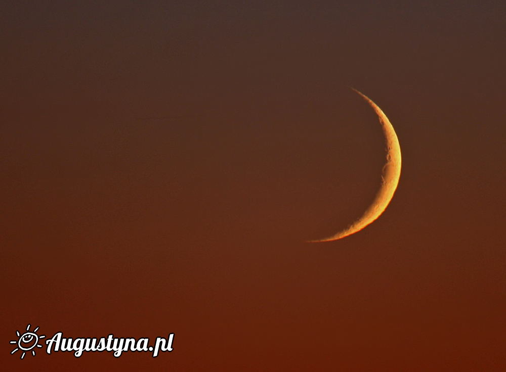 Dzie jak co dzie, czyli 11.06.2013 w Jastarni na Pwyspie Helskim