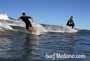 Surfing and bodyboarding on Derecha, Izquierda and El Conquistador in Las Americas on Tenerife