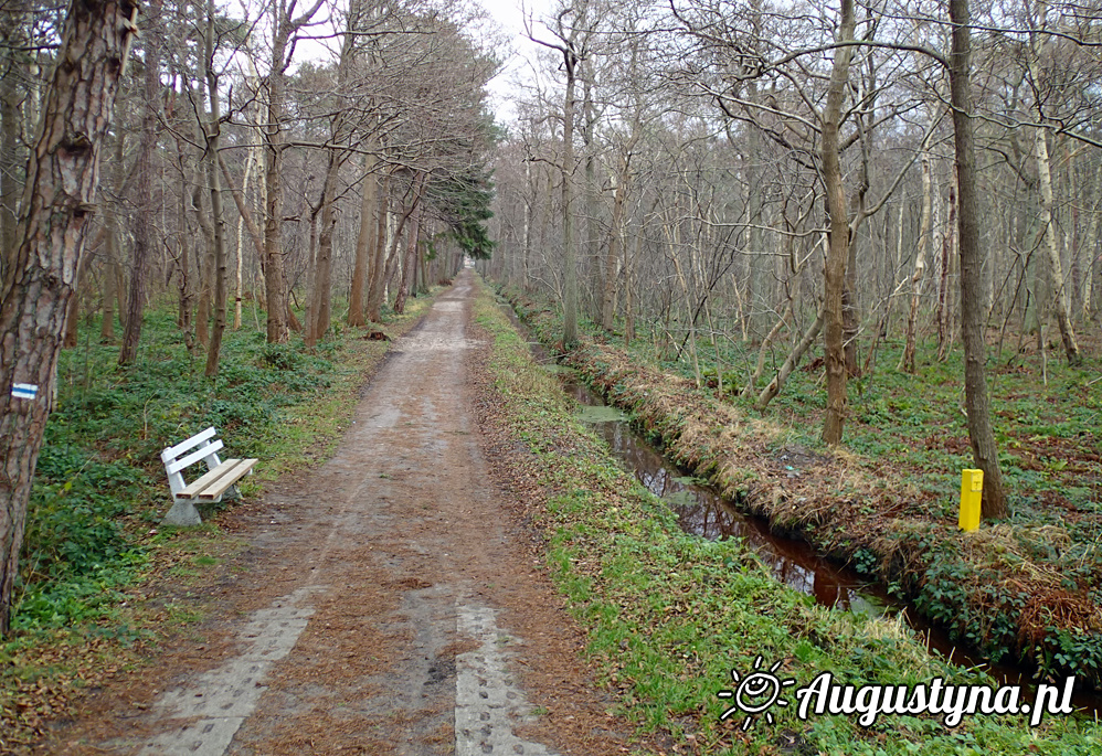 Niby zima, czyli 21.12.2013 w Jastarni na Pwyspie Helskim