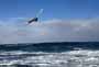 Windsurfing and kitesurfing at El Cabezo in El Medano Tenerife with Dany Bruch, Alex Mussolini, Valter Scotto, Sandro D'Alessio and others