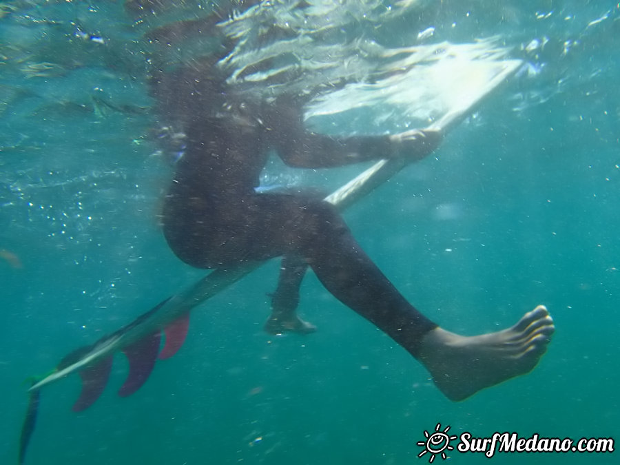 SUP and Surfing at Playa Cabezo in El Medano Tenerife 17-02-2014 Tenerife