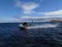 Flat water fun in El Medano 09-03-2014 