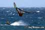 Windsurfing at Harbour Wall  24-03-2014 with Maciek Rutkowski, Andrea Cucchi, Nico Akgazciyan and others  