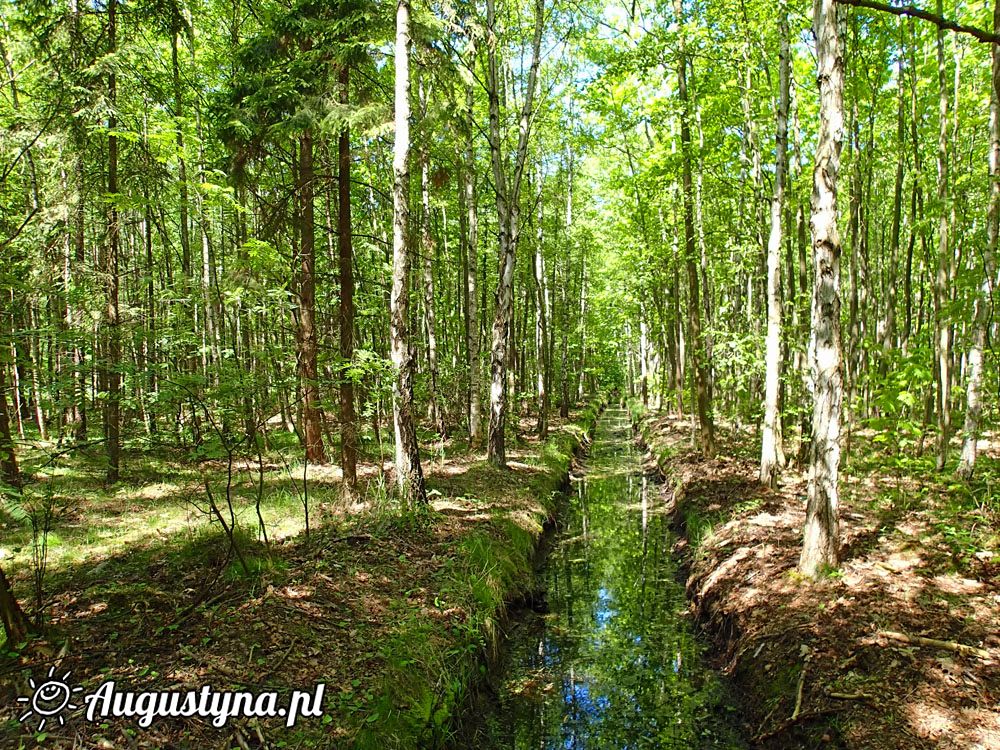 Dzie Dziecka, czyli 01-06-2014 w Jastarni na Pwyspie Helskim