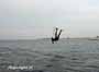 Windsurfing i Kitesurfing w Jastarni na Pwyspie Helskim 27-10-2014