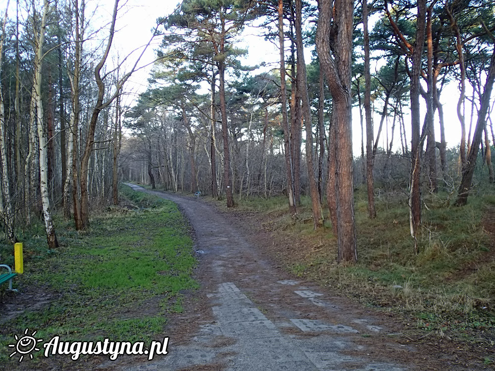 Grudniowa niedziela 21-12-2014 Jastarni na Pwyspie Helskim