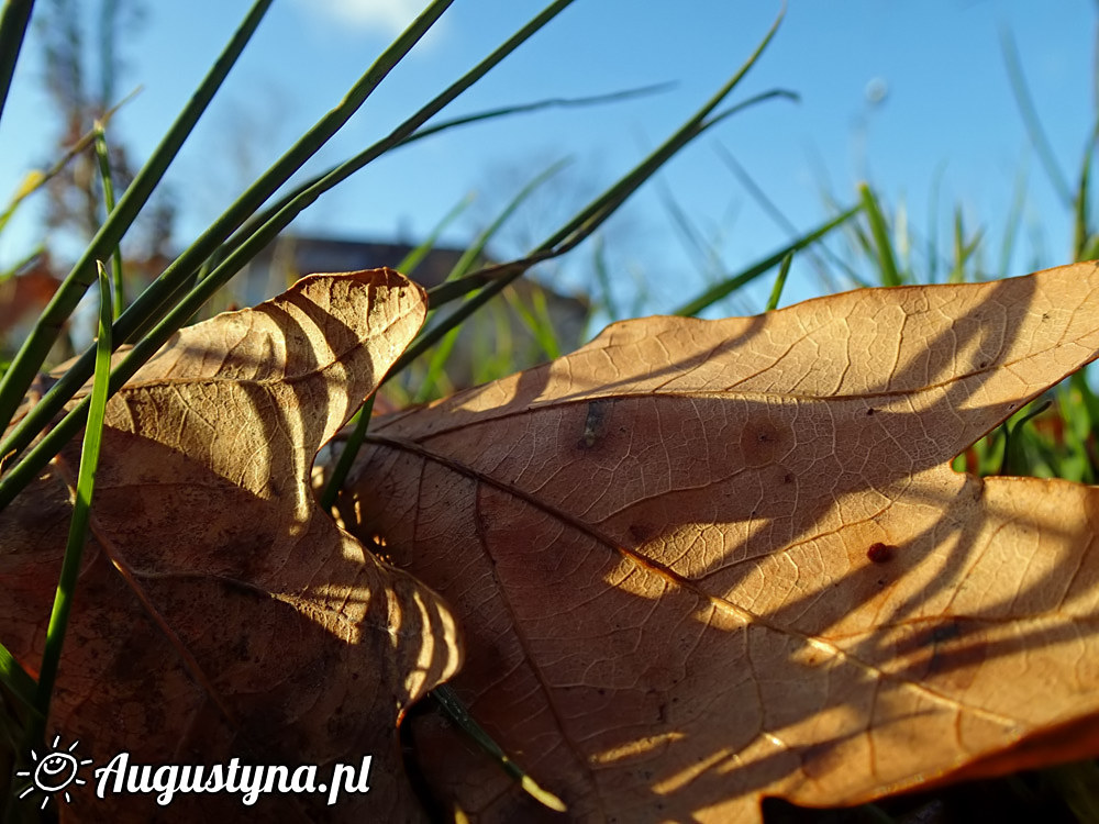 Grudniowa niedziela 21-12-2014 Jastarni na Pwyspie Helskim