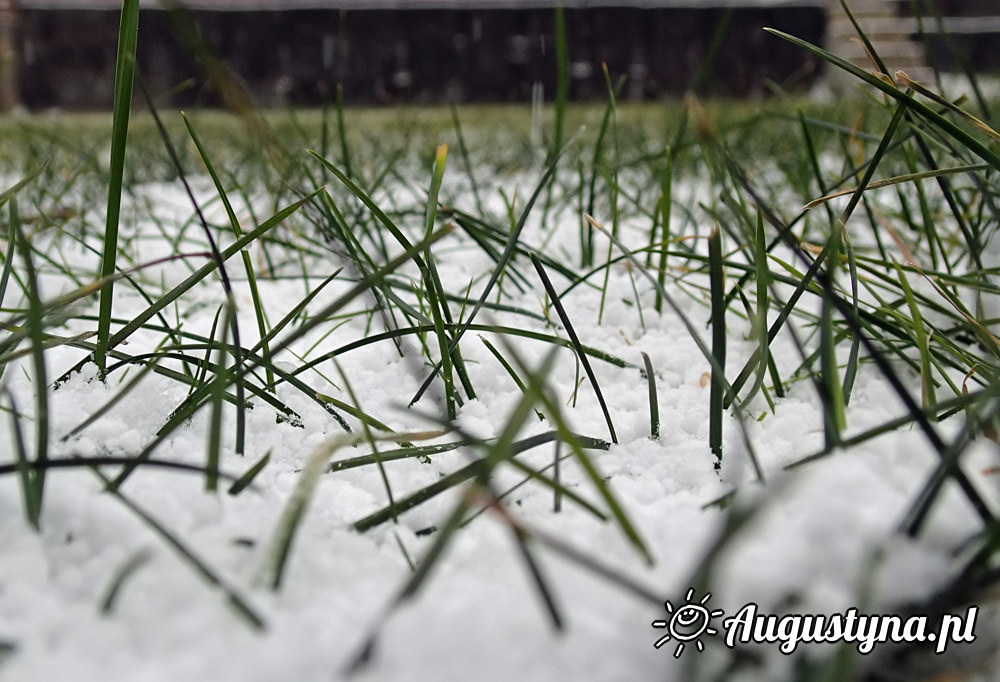 Niemal zimowa niedziela 28-12-2014 Jastarni na Pwyspie Helskim