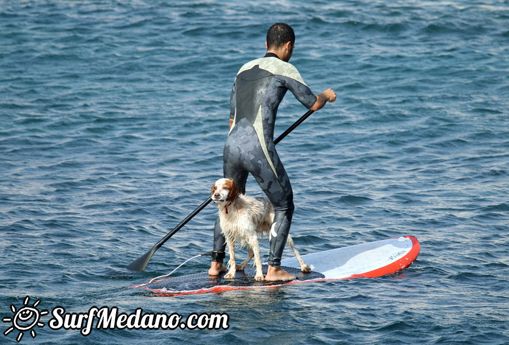 Windsurfing at El Cabezo in El Medano Tenerife 31-12-2014 Tenerife