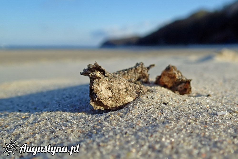 Plaża w Jastarni na Półwyspie Helskim