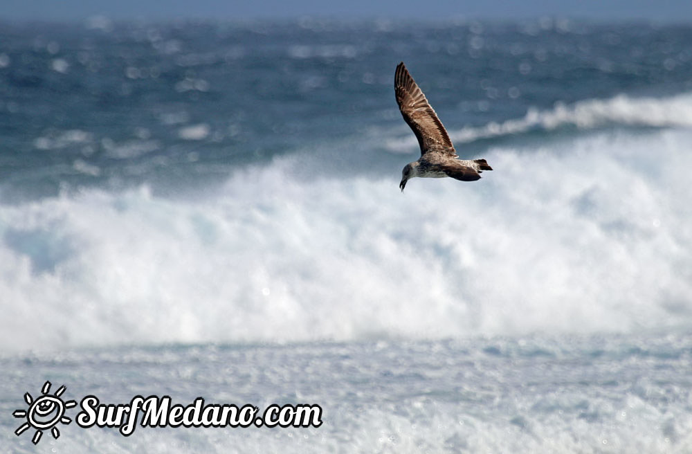 Windsurfing at El Cabezo with gusts up to 50 knots