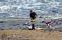 Windsurfing at El Cabezo in El Medano 29-03-2015 