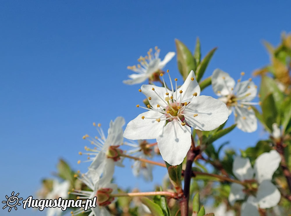 Sobota, czyli 25-04-2015 w Jastarni