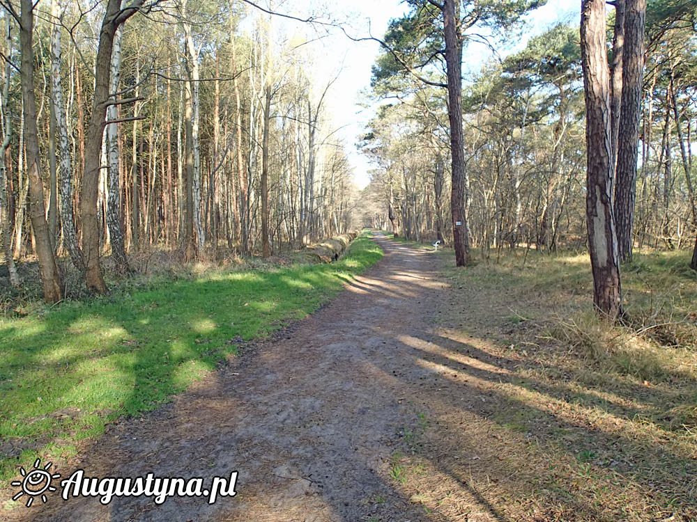 Sobota, czyli 25-04-2015 w Jastarni