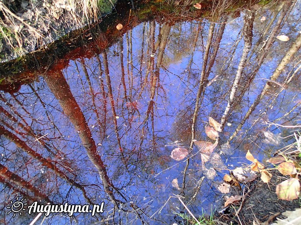 Sobota, czyli 25-04-2015 w Jastarni