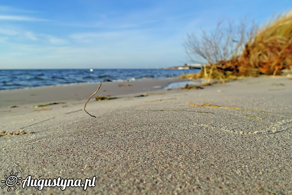 Wigilia, czyli 24-12-2015 w Jastarni