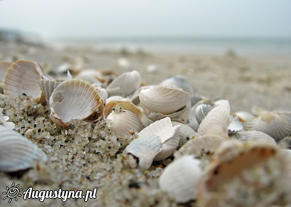 Losowe foto