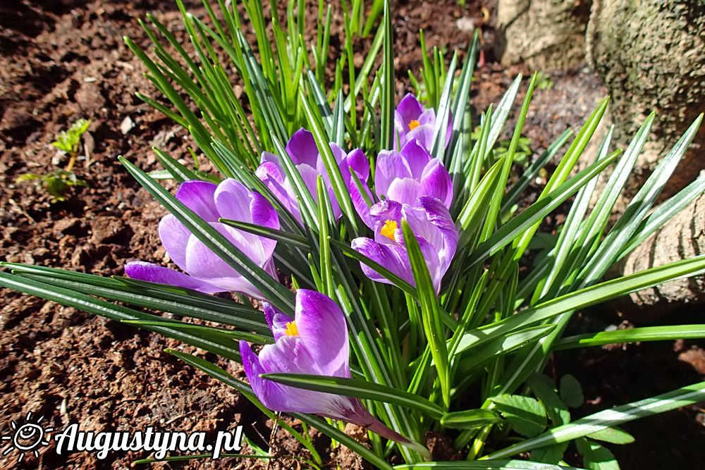 Kwietniowa sobota, czyli 02-04-2016 w Jastarni na Pwyspie Helskim