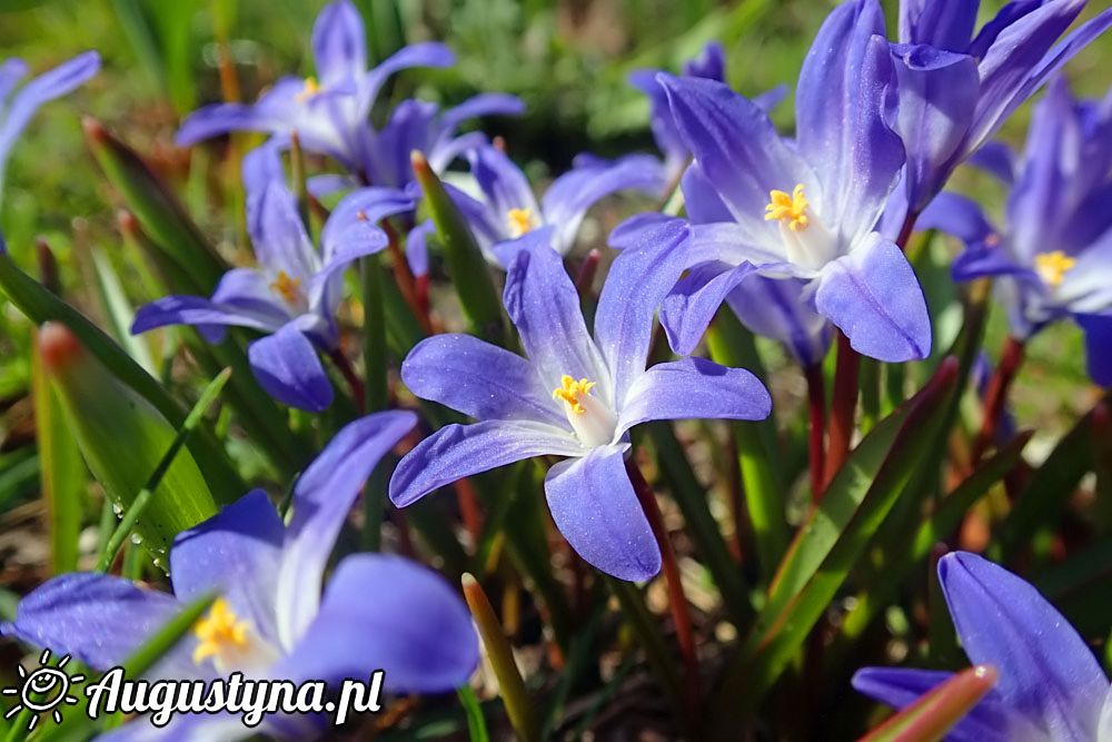 Kwietniowa sobota, czyli 02-04-2016 w Jastarni na Pwyspie Helskim