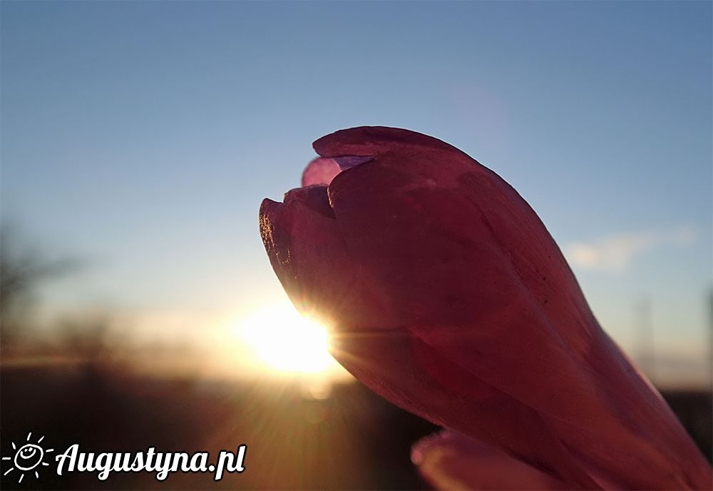 Kwietniowa sobota, czyli 02-04-2016 w Jastarni na Pwyspie Helskim