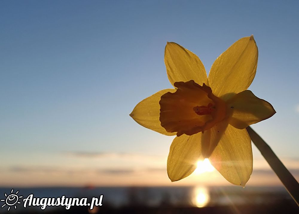 Kwietniowa sobota, czyli 02-04-2016 w Jastarni na Pwyspie Helskim