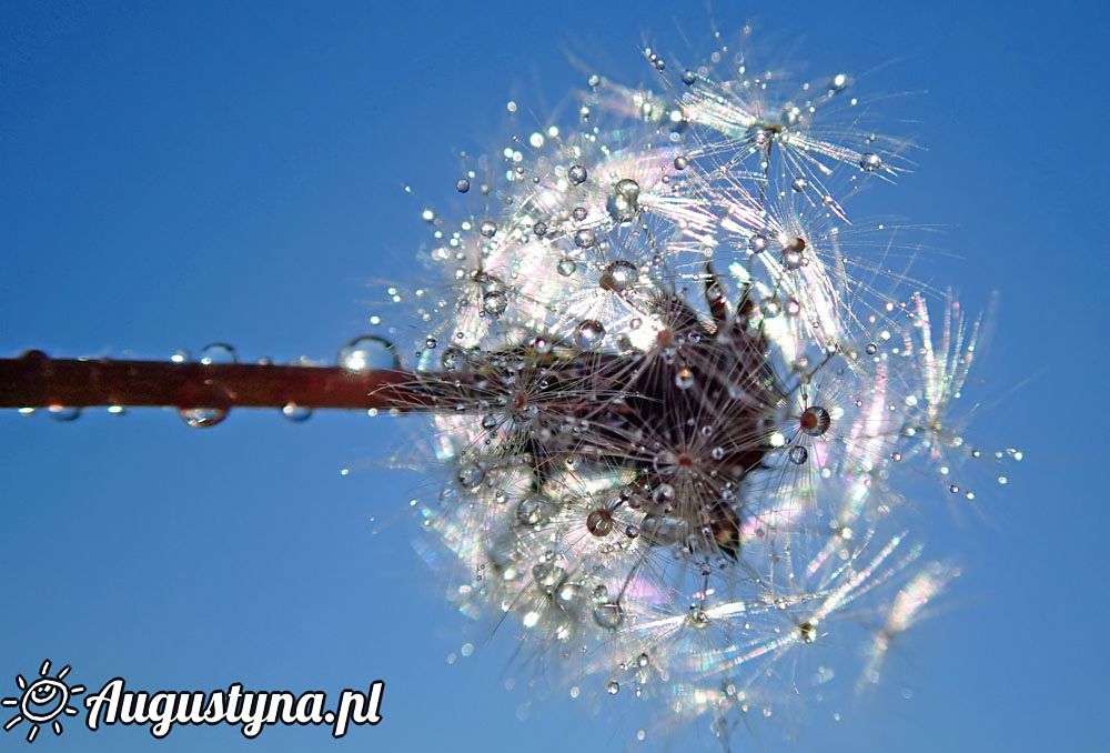 Czerwcowa sobota, czyli 04-06-2016 w Jastarni na P�wyspie Helskim