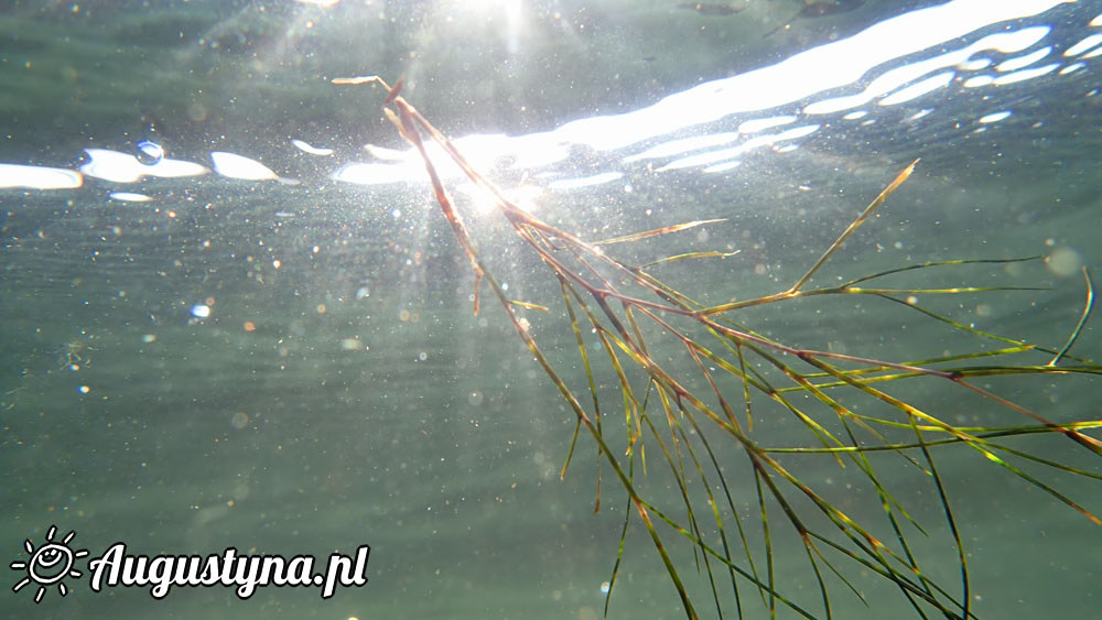 Po poudniu, czyli 25-07-2016 w Jastarni na Pwyspie Helskim