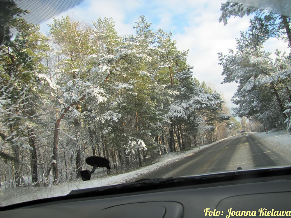 Zima, czyli soce, nieg i mrz 17-01-2017 na Pwyspie Helskim