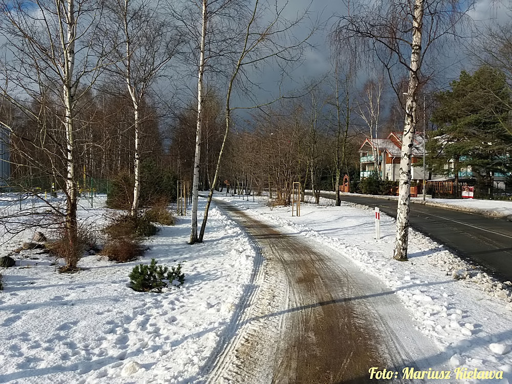 Zima, czyli soce, nieg i mrz 17-01-2017 na Pwyspie Helskim