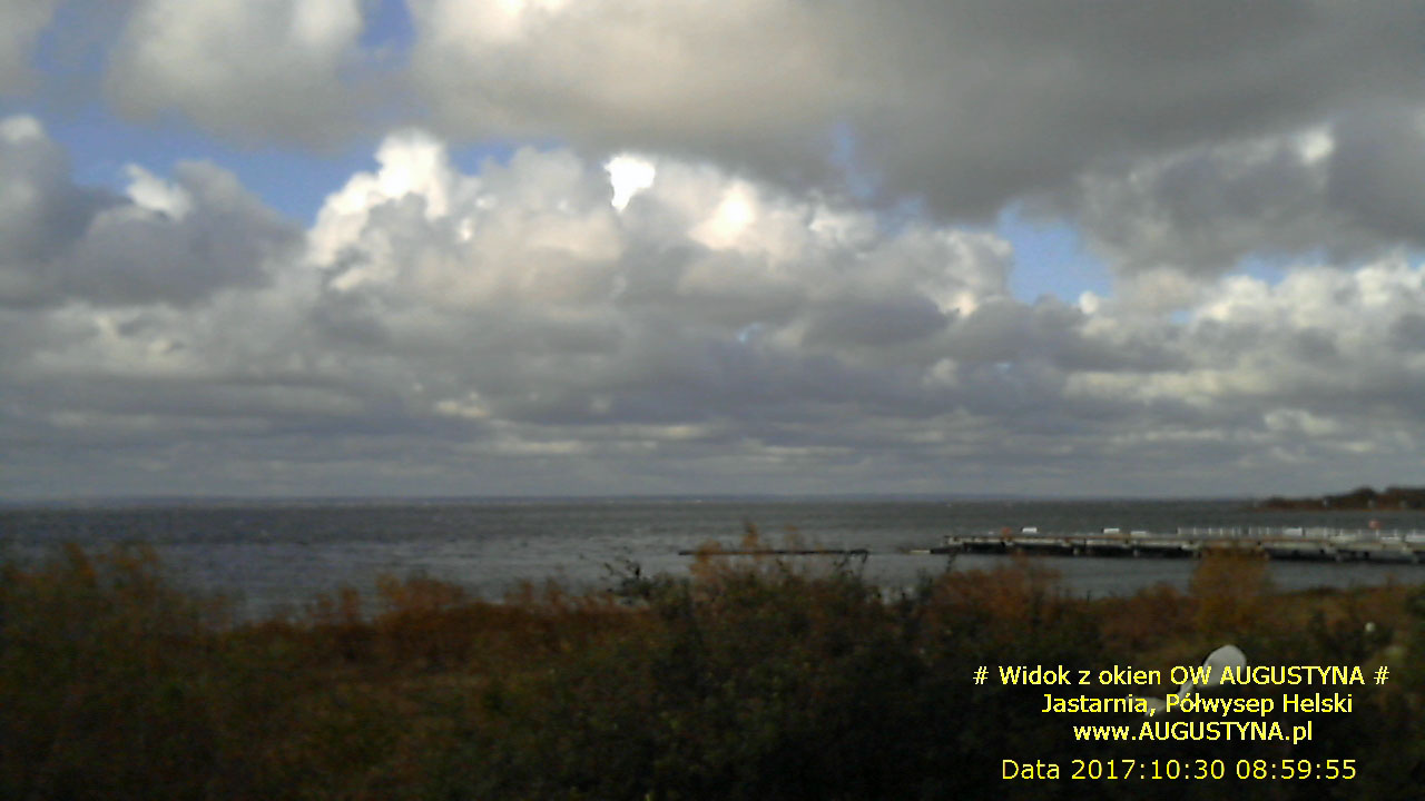 Losowe foto