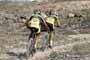  Club La Santa 4 Stage MTB Lanzarote 05-02-2017