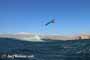 Wave windsurfing at El Cabezo in El Medano Tenerife 16-01-2018