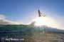 Sunrise windsurfing at Cabezo in El Medano Tenerife 26-01-2018