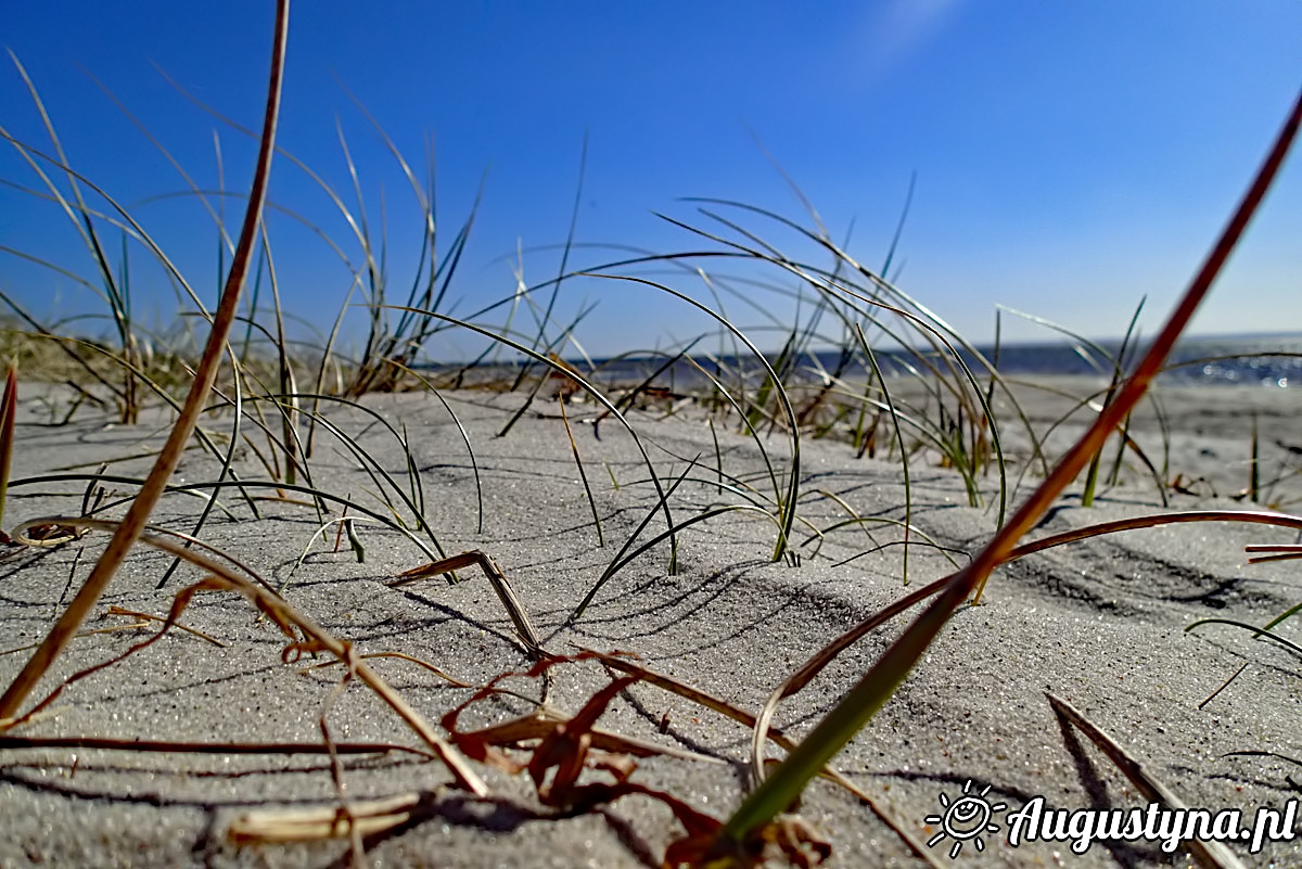 Na wiosennej plaży, czyli 6-04-2018 w Jastarni