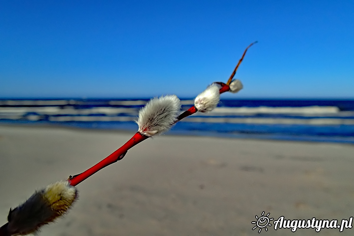 Na wiosennej plaży, czyli 6-04-2018 w Jastarni