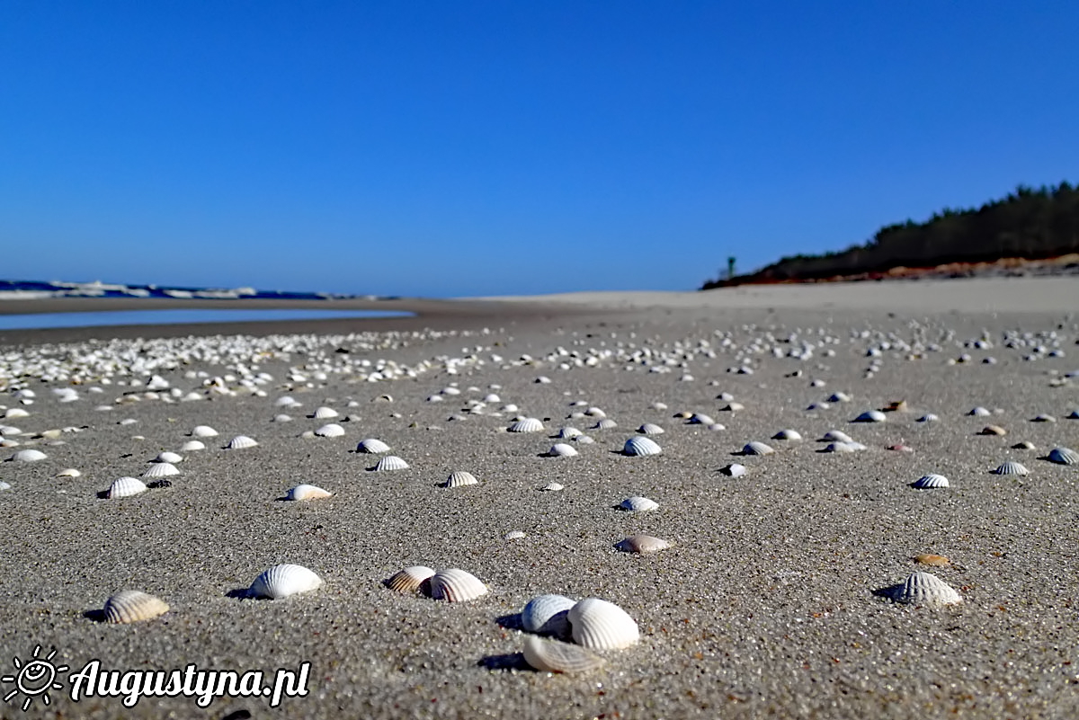 Na wiosennej plaży, czyli 6-04-2018 w Jastarni