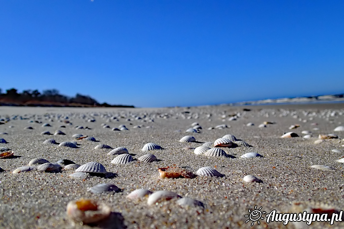 Na wiosennej plaży, czyli 6-04-2018 w Jastarni