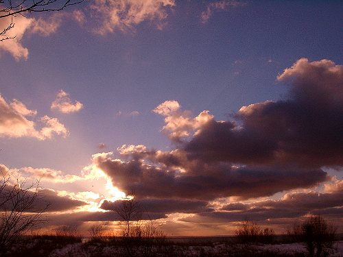 Losowe foto