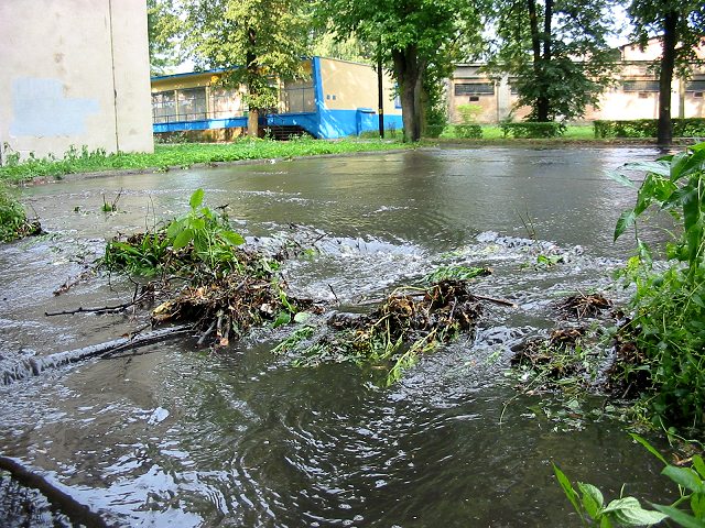 Kliknij, aby powrci na stron gwn tej galerii