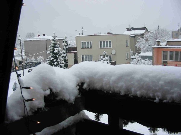 Kliknij, aby powrci na stron gwn tej galerii