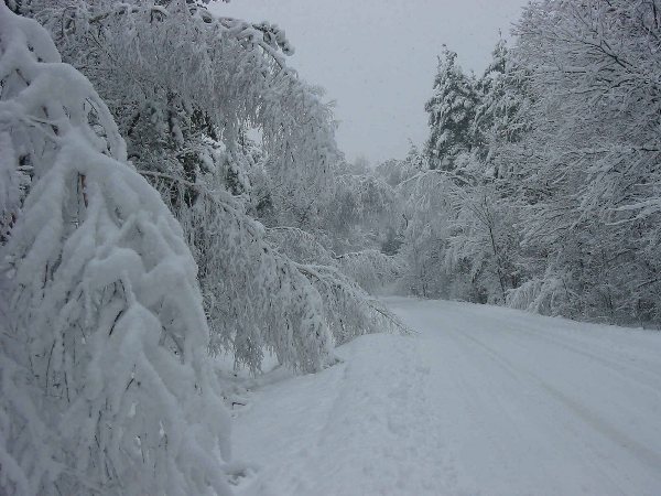 Kliknij, aby powrci na stron gwn tej galerii