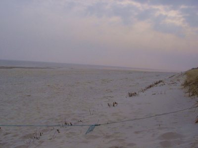 Losowe foto