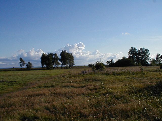 Kliknij, aby powrci na stron gwn tej galerii